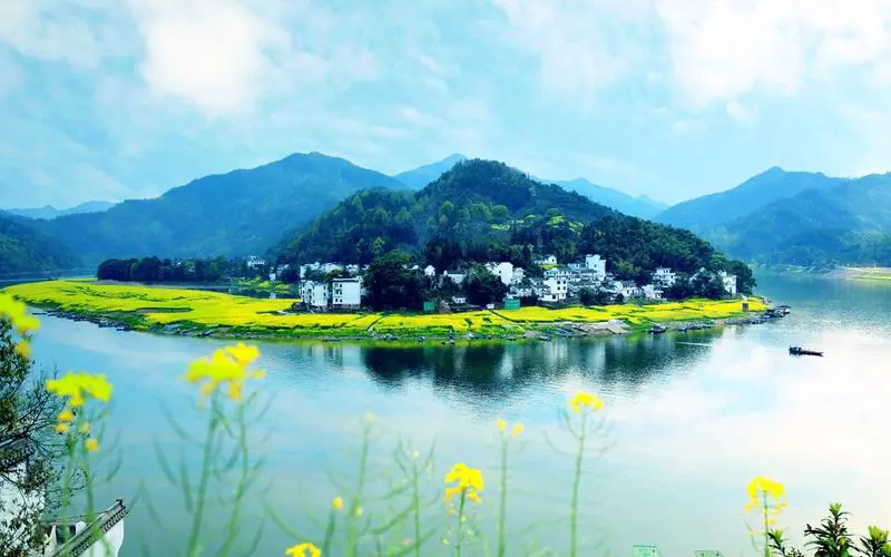 高效智慧